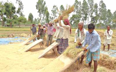 Agricultural growth witnesses 11-year low